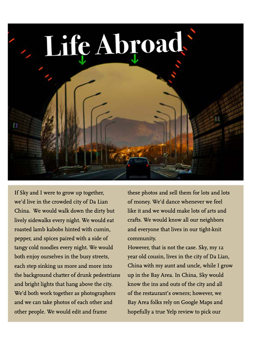 Article by Siqi Shao